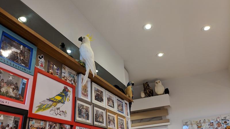 牆上還有許多名流的照片，米奇、鳥的繪畫，還有靠近天花板的地方有鸚鵡及貓頭鷹的標本