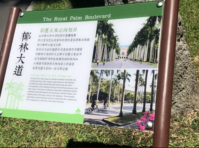 台北公館景點︱漫遊台大：醉月湖、椰林大道、校史館...不能錯過的台大景點都在這！